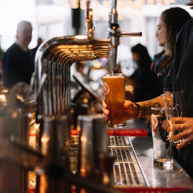 A bartender hands a freshly poured pint of beer across the bar, with taps and customers in the background