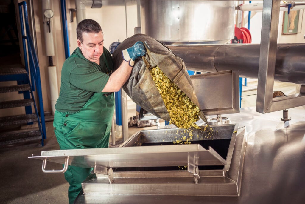 Brewery worker in green overalls tipping dried hops from a sack into a hopper on a steel brewing vessel